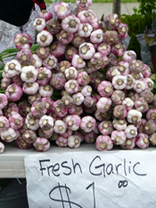 garlic